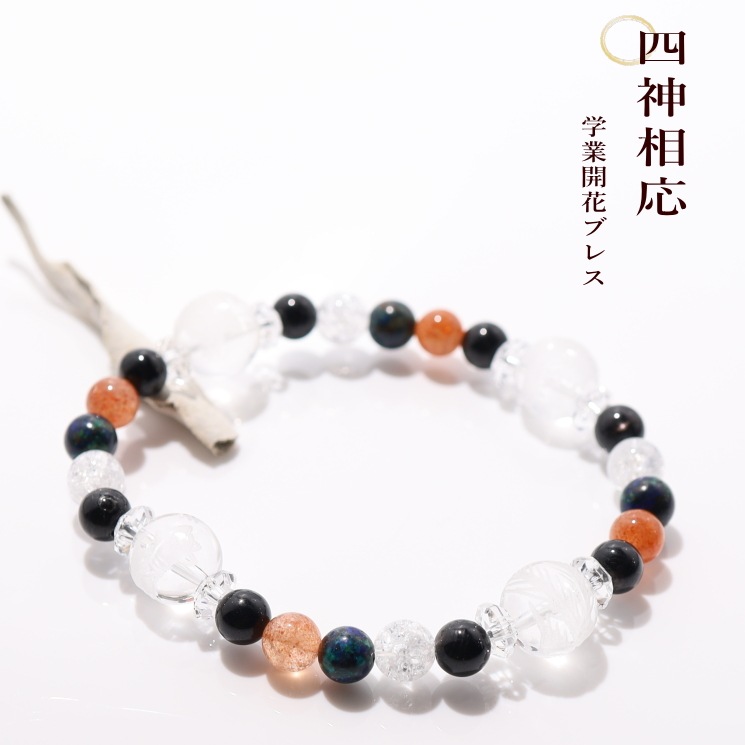 �Ϳ�������ضȳ��֥֥쥹��å�