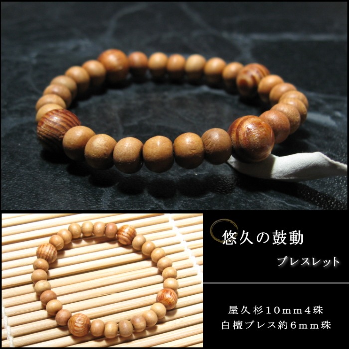 ͪ�פθ�ư�֥쥹��å� (���׿�)