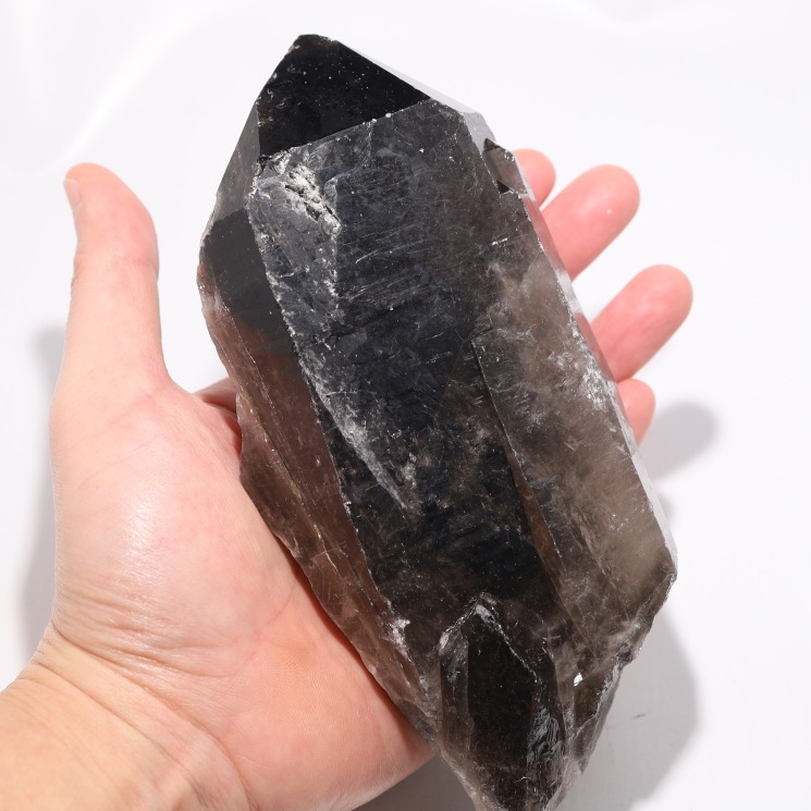 ���徽�ʥ�ꥪ��˥��饹���� No55