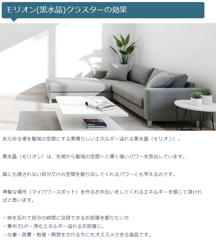 ���徽�ʥ�ꥪ��˥��饹���� No55