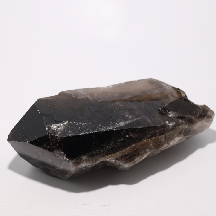 ���徽�ʥ�ꥪ��˥��饹���� No55