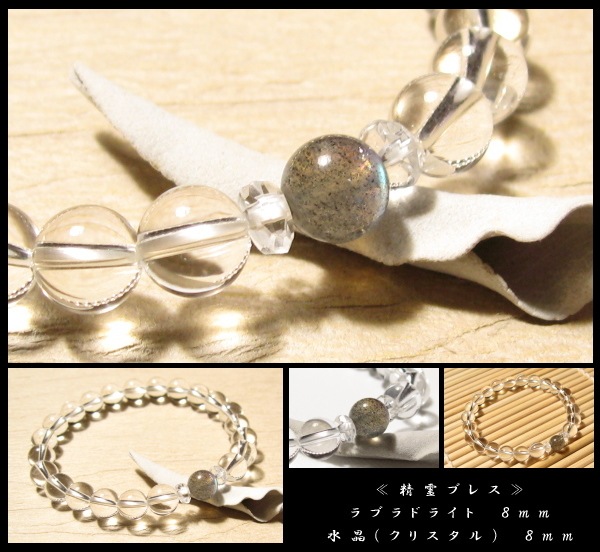 ��֥�ɥ饤�� ����֥쥹��åȣ�����