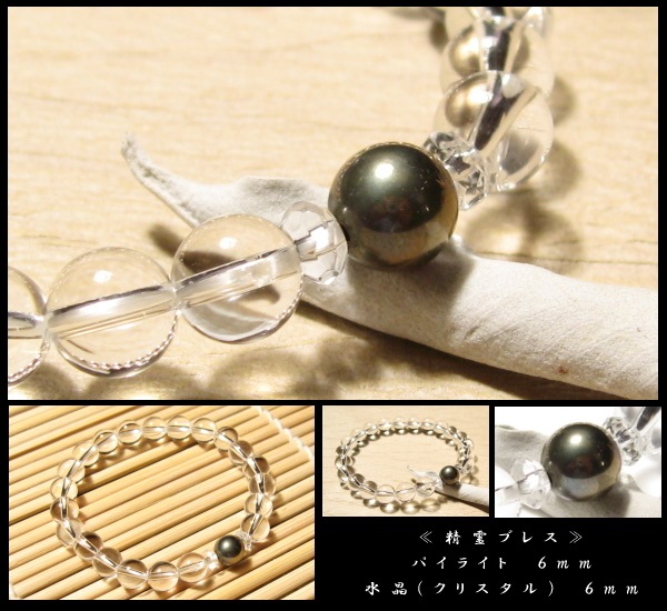 �ѥ��饤�� ����֥쥹��åȣ�����