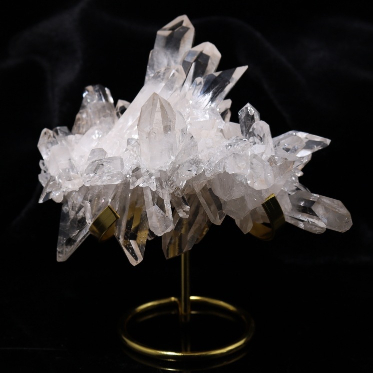 �ڽ���ꡧ�����ʡ� �ȥޥ����󥵥��� �徽���饹���� ���ʼ� ���祵���� ���դ� No.48