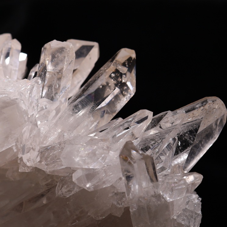 �ڽ���ꡧ�����ʡ� �ȥޥ����󥵥��� �徽���饹���� ���ʼ� ���祵���� ���դ� No.48