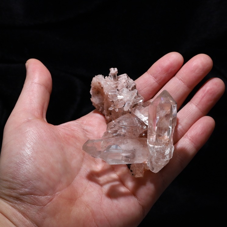 �ޥ˥���� �ҥޥ��徽���饹���� ���ʼ� No2