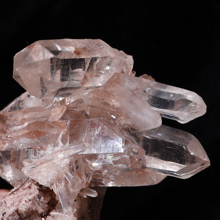 �ޥ˥���� �ҥޥ��徽���饹���� ���ʼ� No2