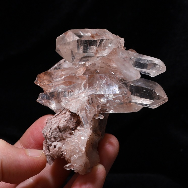 �ޥ˥���� �ҥޥ��徽���饹���� ���ʼ� No2