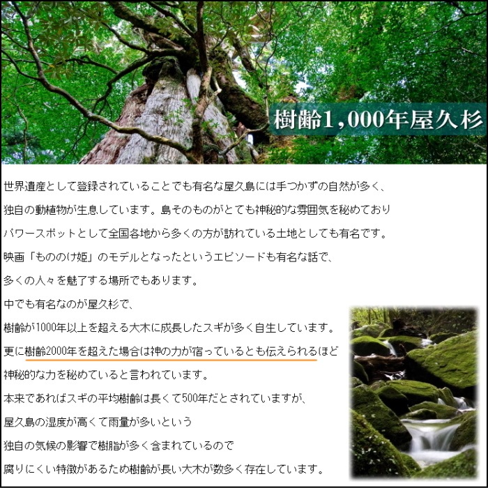 �ǹ�顿���׿��֥쥹��å� ��������
