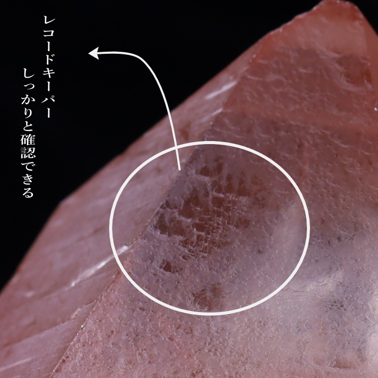 ԥ󥯥ꥢ󥷡ɿ徽ݥ (쥳ɥС) Diamantina No19