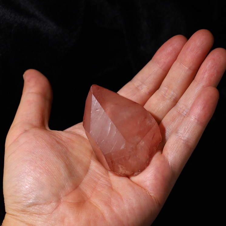 ԥ󥯥ꥢ󥷡ɿ徽ݥ (쥳ɥС) Diamantina No19