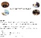 ���᥸���� ��Υ��ܡ��롿���դ�
