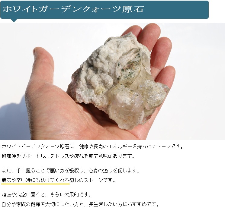 �ۥ磻�ȥ����ǥ󥯥����ĸ��� No��