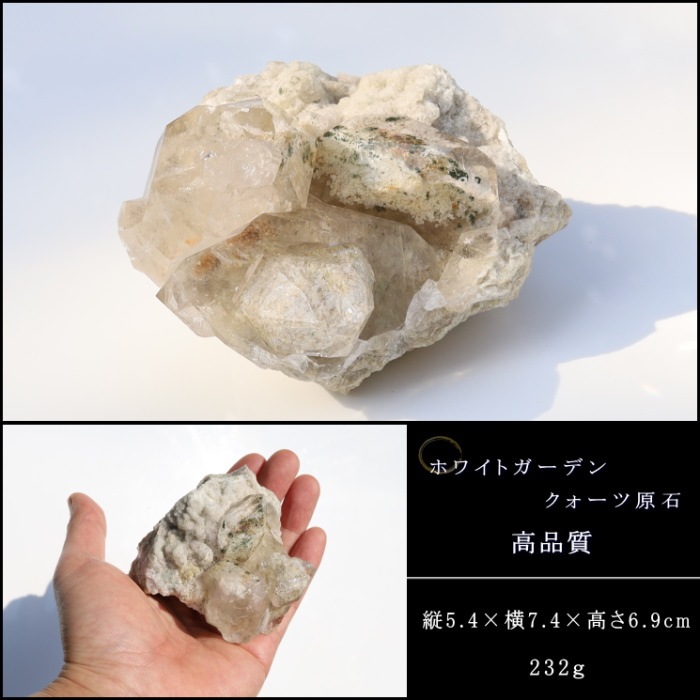 �ۥ磻�ȥ����ǥ󥯥����ĸ��� No��