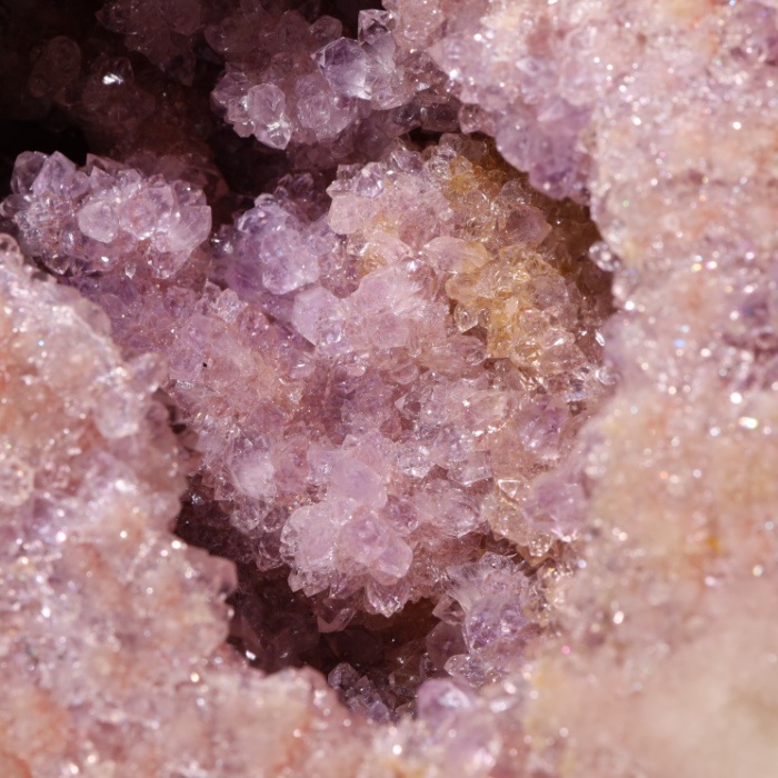 �ڵ�ˤ����� �ԥ󥯥��᥸���ȥɡ���