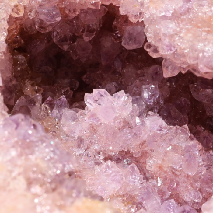 �ڵ�ˤ����� �ԥ󥯥��᥸���ȥɡ���