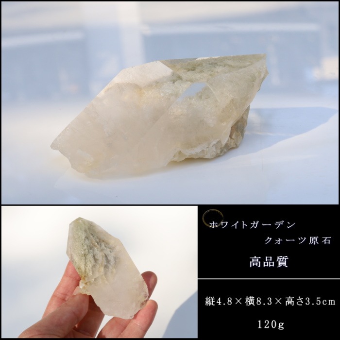 �ۥ磻�ȥ����ǥ󥯥����ĸ��� No��