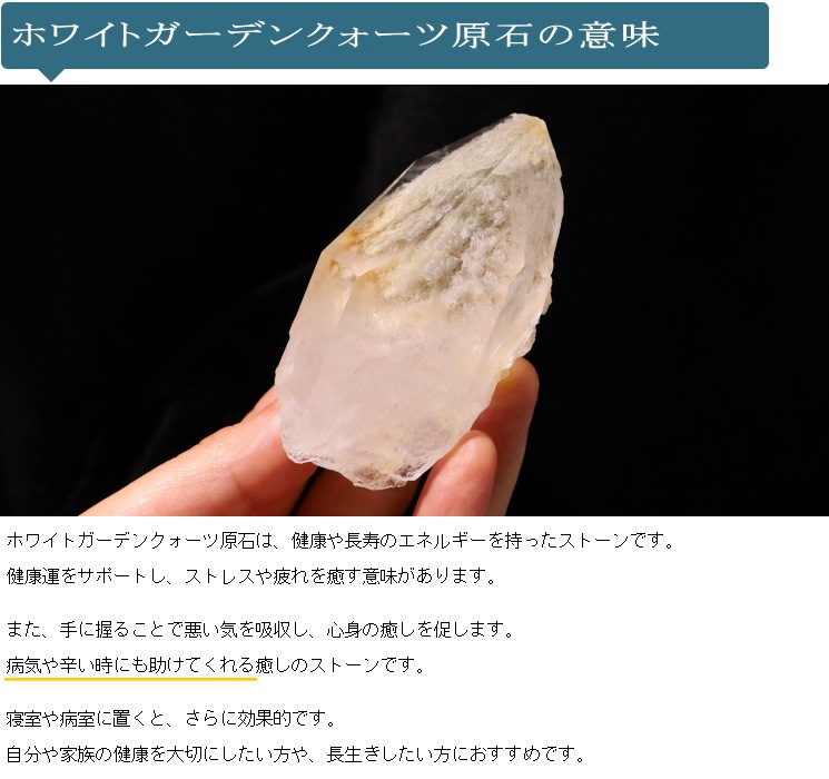 �ۥ磻�ȥ����ǥ󥯥����ĸ��� No��