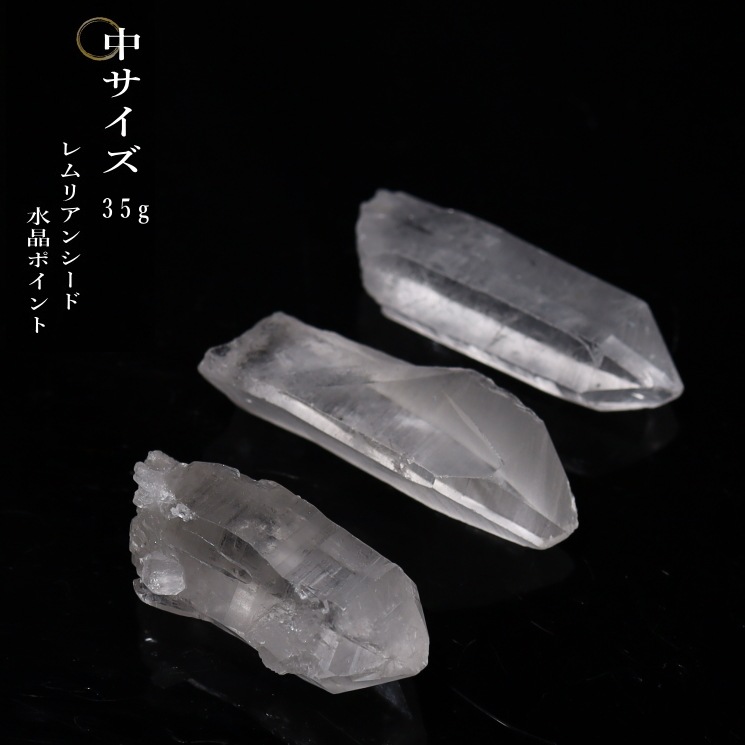 祵ۥꥢ󥷡ɿ徽ݥ 30g35g ֥뻺 (ʥ륰졼) ΤϤ