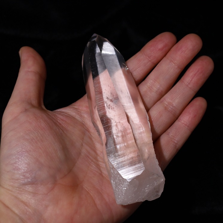 ���ꥢ�󥷡��ɿ徽 ���ʼ����Х����� ����դ� No7