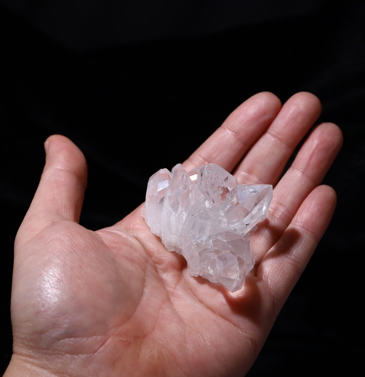 no49  �ȥޥ����󥵥��� �徽���饹���� ���ʼ�