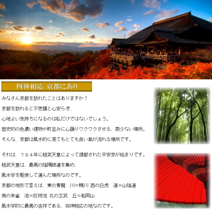 �Ϳ�����֥쥹��å�  ������ǥ󥿥����������� �ڻͿ����˥�����ۡ�