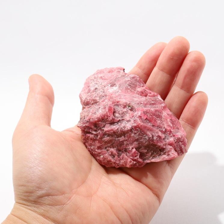 �����ɥʥ��ȸ��� no��