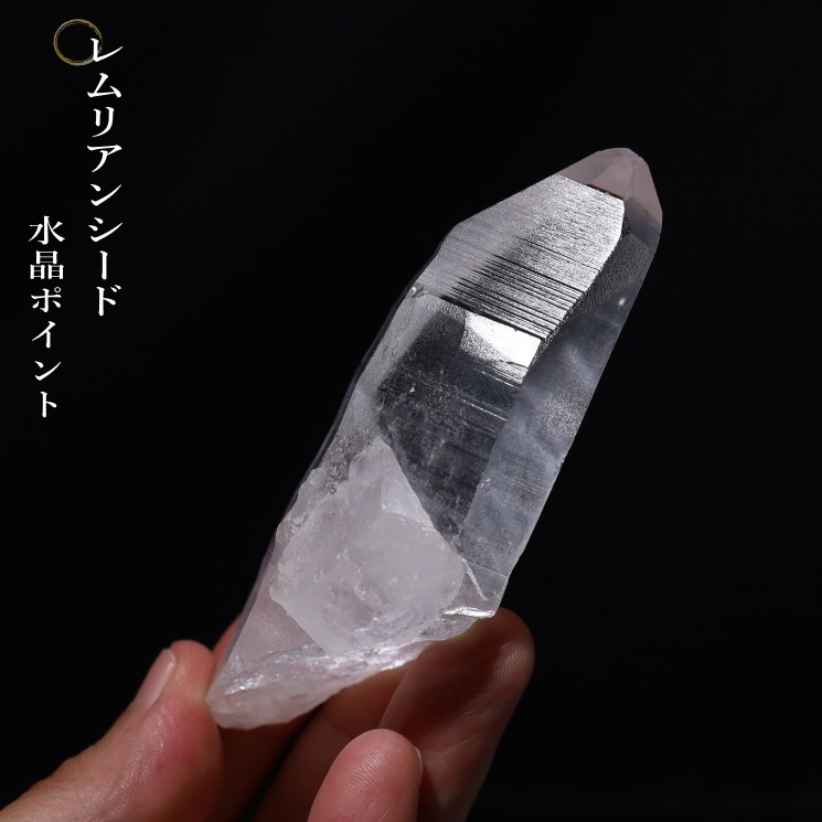 No28 ���ꥢ�󥷡��ɿ徽�ݥ���ȡ����֥�뻺 (Serra do Cabral)