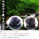 ���륰�����������᥸���ȥ��饹���� no165