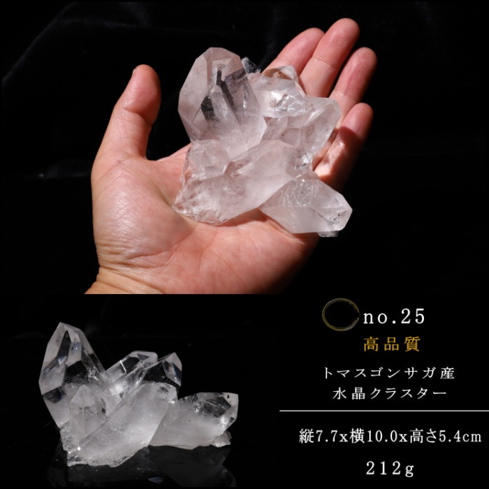 no25  �ȥޥ����󥵥��� �徽���饹���� ���ʼ�
