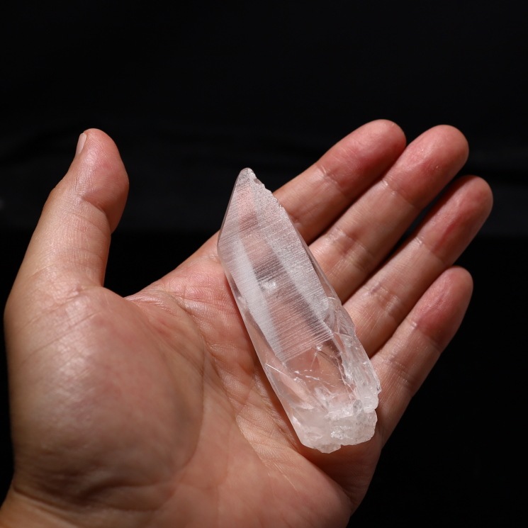 No29 ���ꥢ�󥷡��ɿ徽�ݥ���ȡ����֥�뻺 (Serra do Cabral)