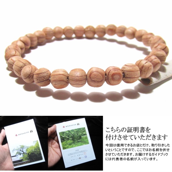   ֥쥹å   () (ܸ滳)