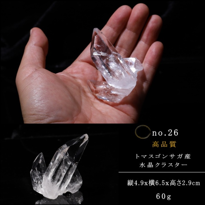 no26  �ȥޥ����󥵥��� �徽���饹���� ���ʼ�
