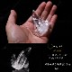 no26  �ȥޥ����󥵥��� �徽���饹���� ���ʼ�