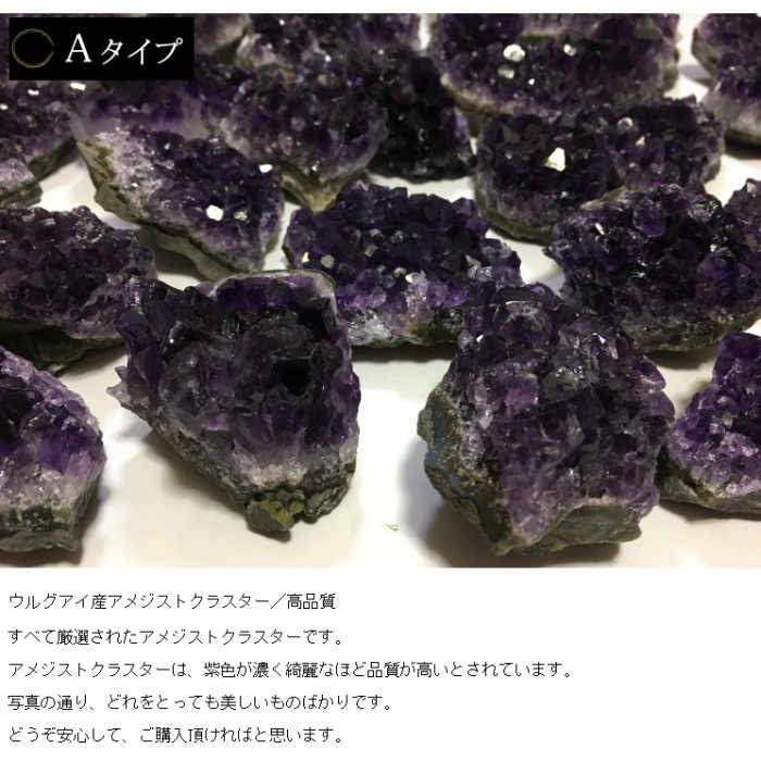 ���ꥹ���� �ѥ���ݥå� �������å� �����٤��