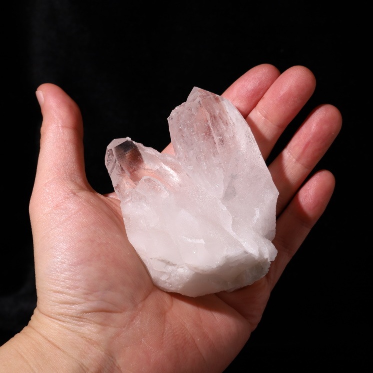 ���ꥢ�󥷡��ɿ徽���饹�������Х����� (Bahia) no��