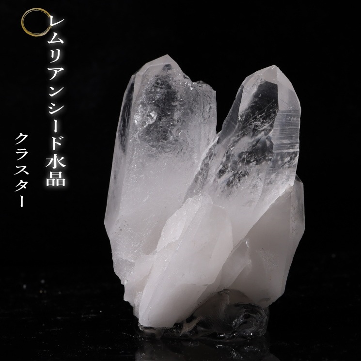 ���ꥢ�󥷡��ɿ徽���饹�������Х����� (Bahia) no��