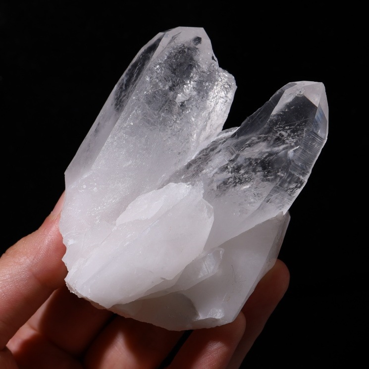 ���ꥢ�󥷡��ɿ徽���饹�������Х����� (Bahia) no��