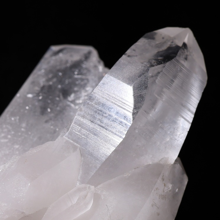 ���ꥢ�󥷡��ɿ徽���饹�������Х����� (Bahia) no��