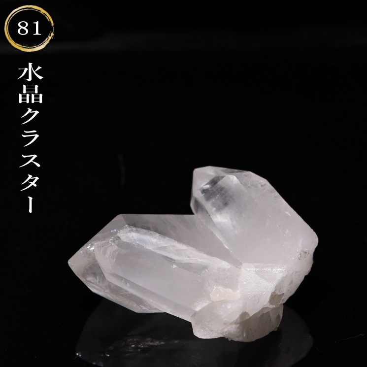 No.81 �徽���饹����