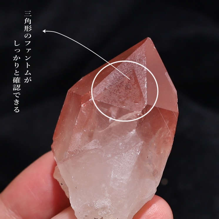 �ԥ󥯥��ꥢ�󥷡��ɿ徽�ݥ���� (�����ե���ȥ�����)�� Diamantina�� No20