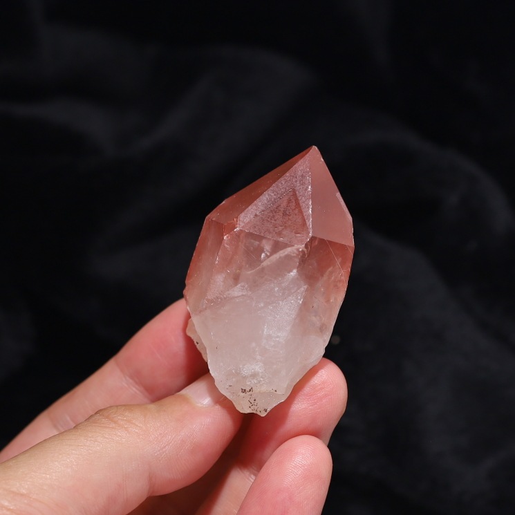 �ԥ󥯥��ꥢ�󥷡��ɿ徽�ݥ���� (�����ե���ȥ�����)�� Diamantina�� No20