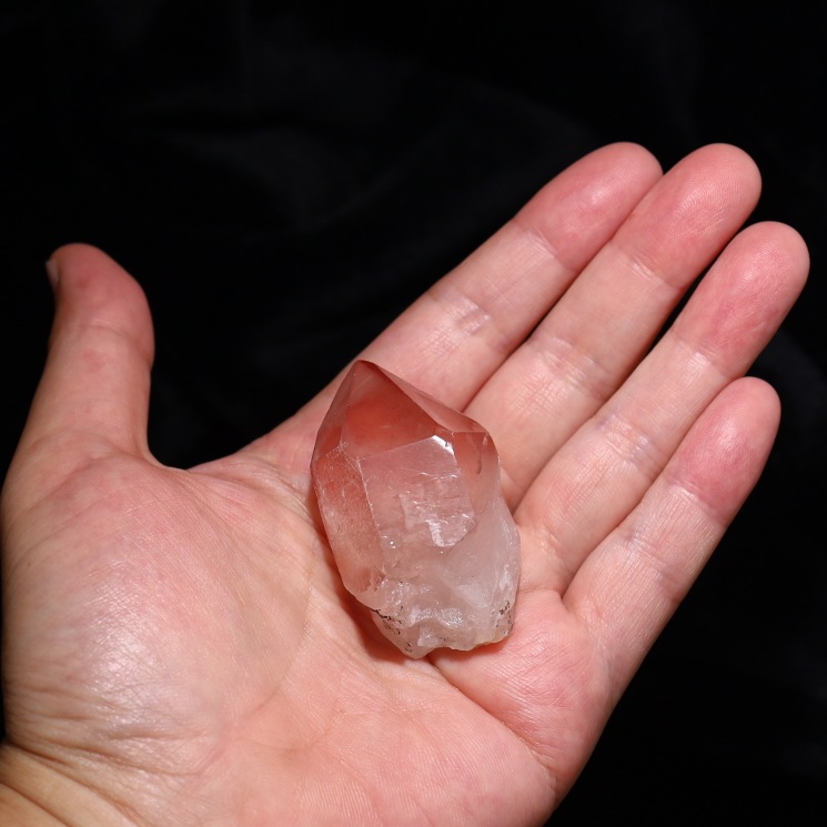 �ԥ󥯥��ꥢ�󥷡��ɿ徽�ݥ���� (�����ե���ȥ�����)�� Diamantina�� No20