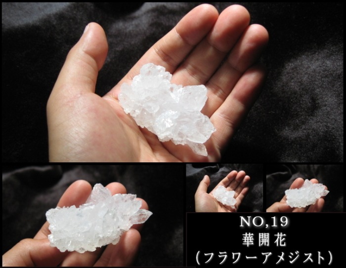 �ڳ��� (�ե����᥸����) NO,����