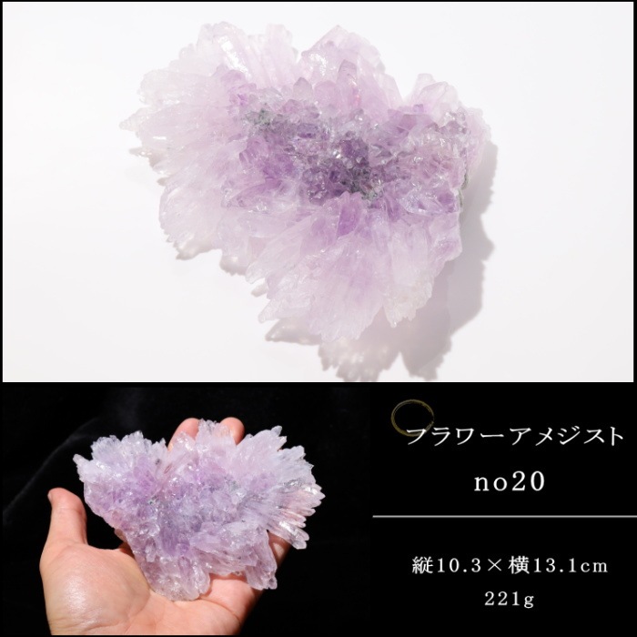 �ե����᥸���� no20