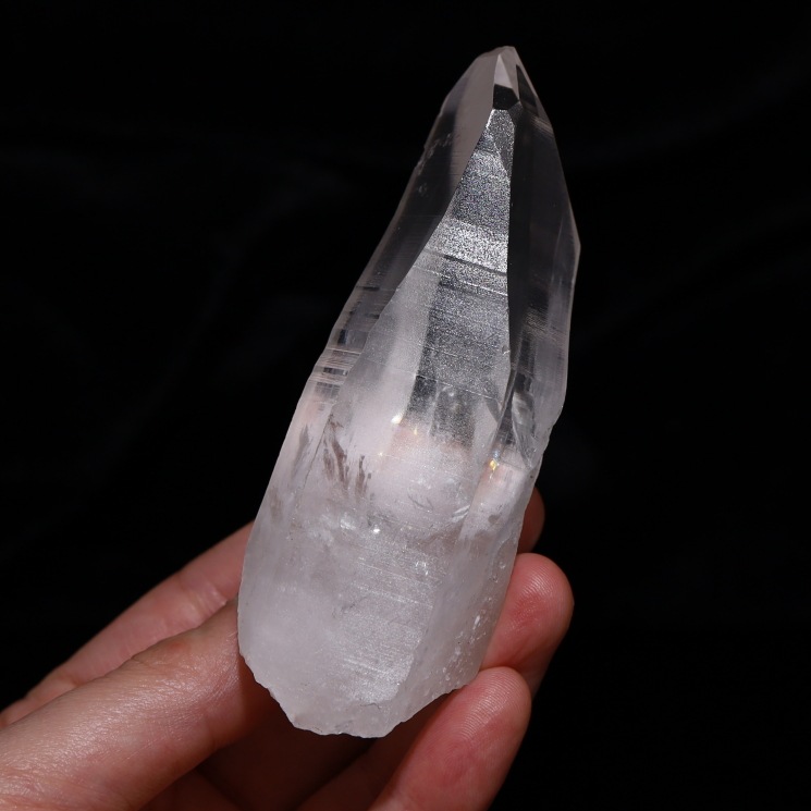 ���ꥢ�󥷡��ɿ徽�ݥ���� ���ʼ� �����֥�뻺 (Serra do Cabral) No60