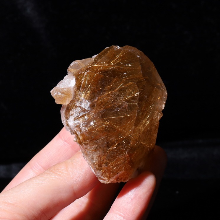 ����륯������ �ݥ���ȡ����ʼ� No��