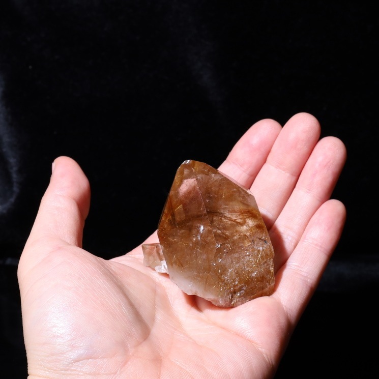 ����륯������ �ݥ���ȡ����ʼ� No��