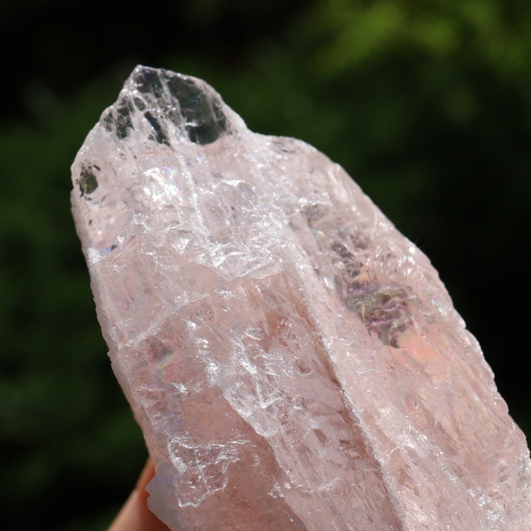 ��륬�ʥ��ȸ��� ���ʼ� ���ݡ����դ�