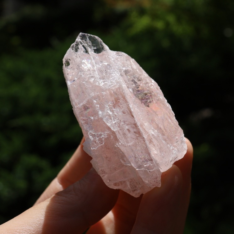 ��륬�ʥ��ȸ��� ���ʼ� ���ݡ����դ�